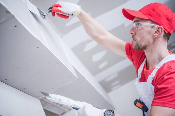 Best Ceiling Drywall Installation  in USA